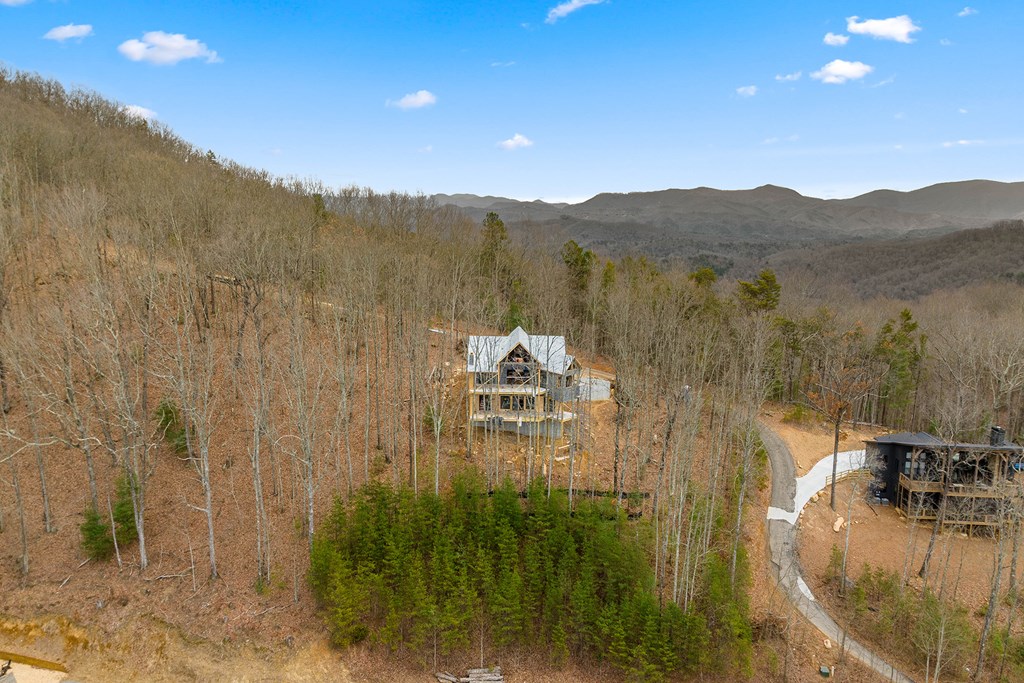 10 The Heights Blue Ridge, GA 30513 - Photo 64 of 75