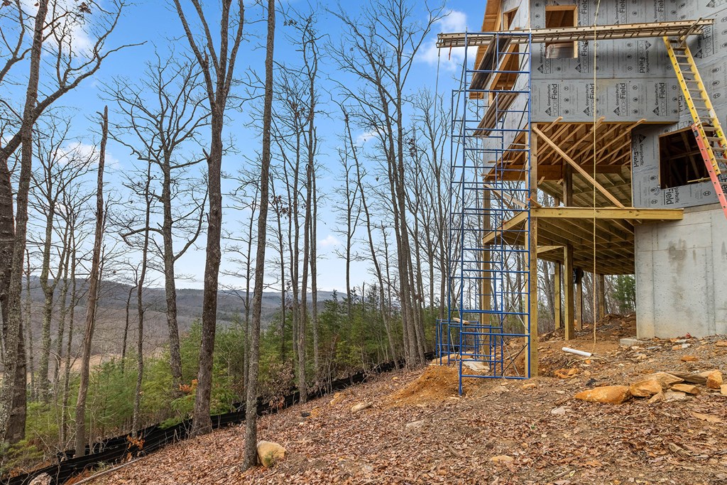10 The Heights Blue Ridge, GA 30513 - Photo 65 of 75