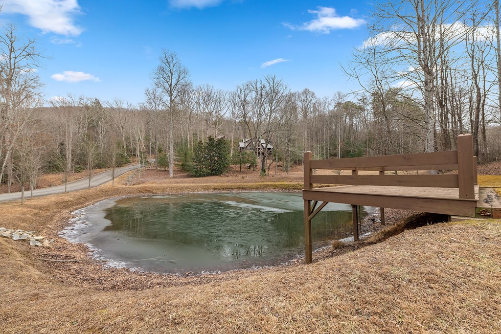 10 The Heights Blue Ridge, GA 30513 - Photo 67 of 75