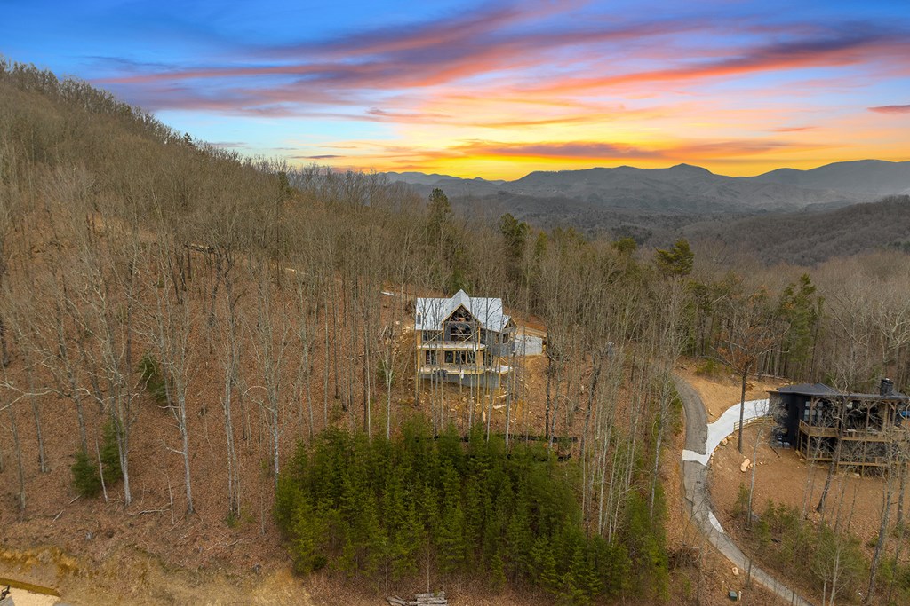 10 The Heights Blue Ridge, GA 30513 - Photo 71 of 75