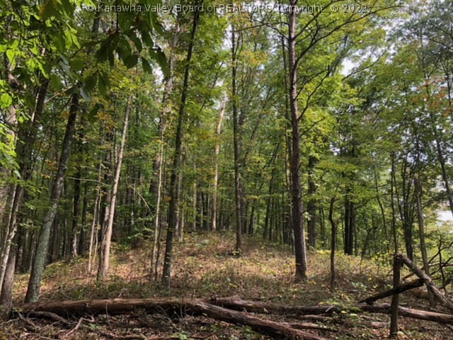 0 First Creek Road Ripley, WV 25271 - Photo 14 of 20 Gallery Image 14
