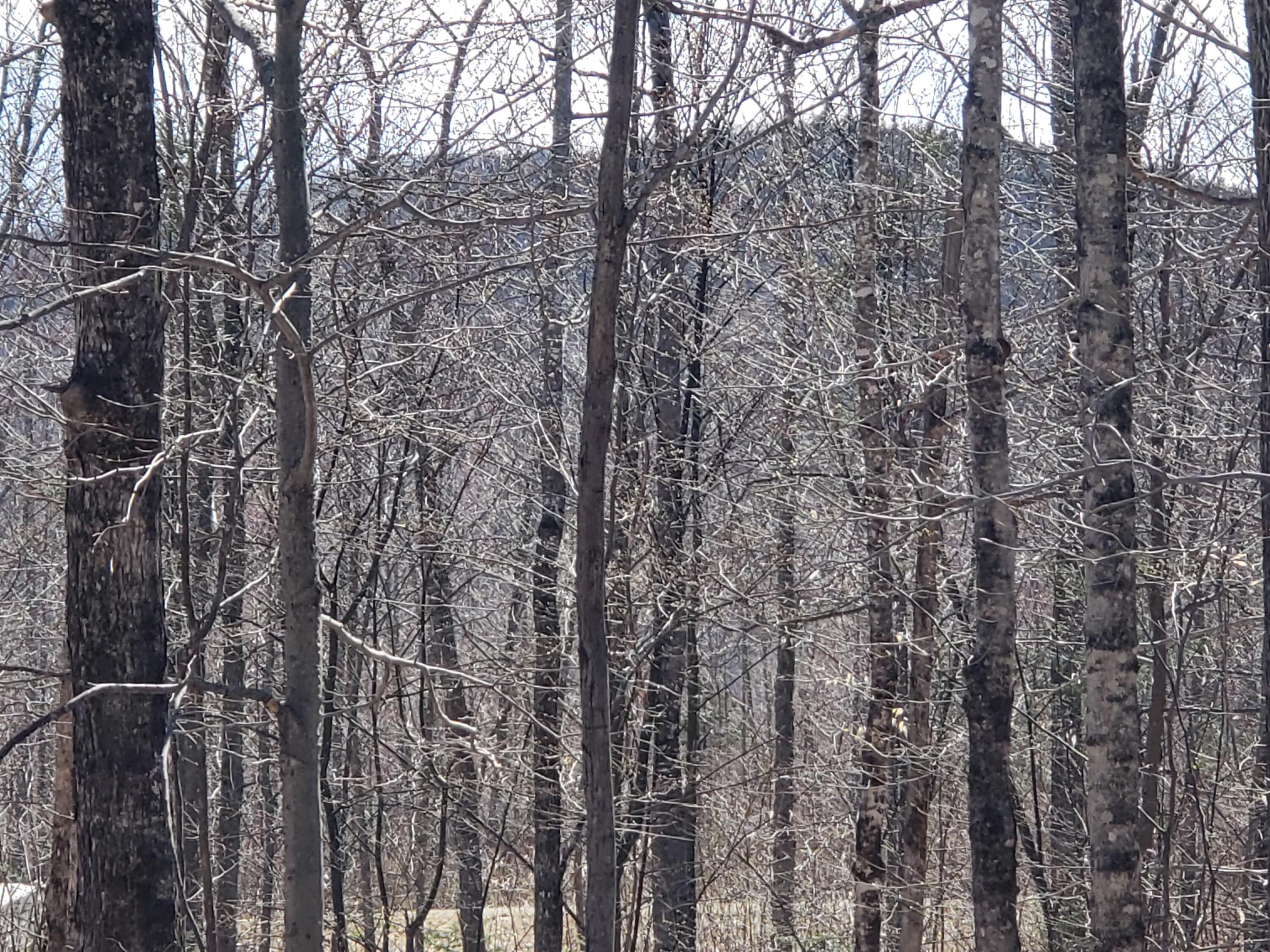 65 Swamp Road Temple, ME 04984 - Photo 48 of 58 20220502_153215