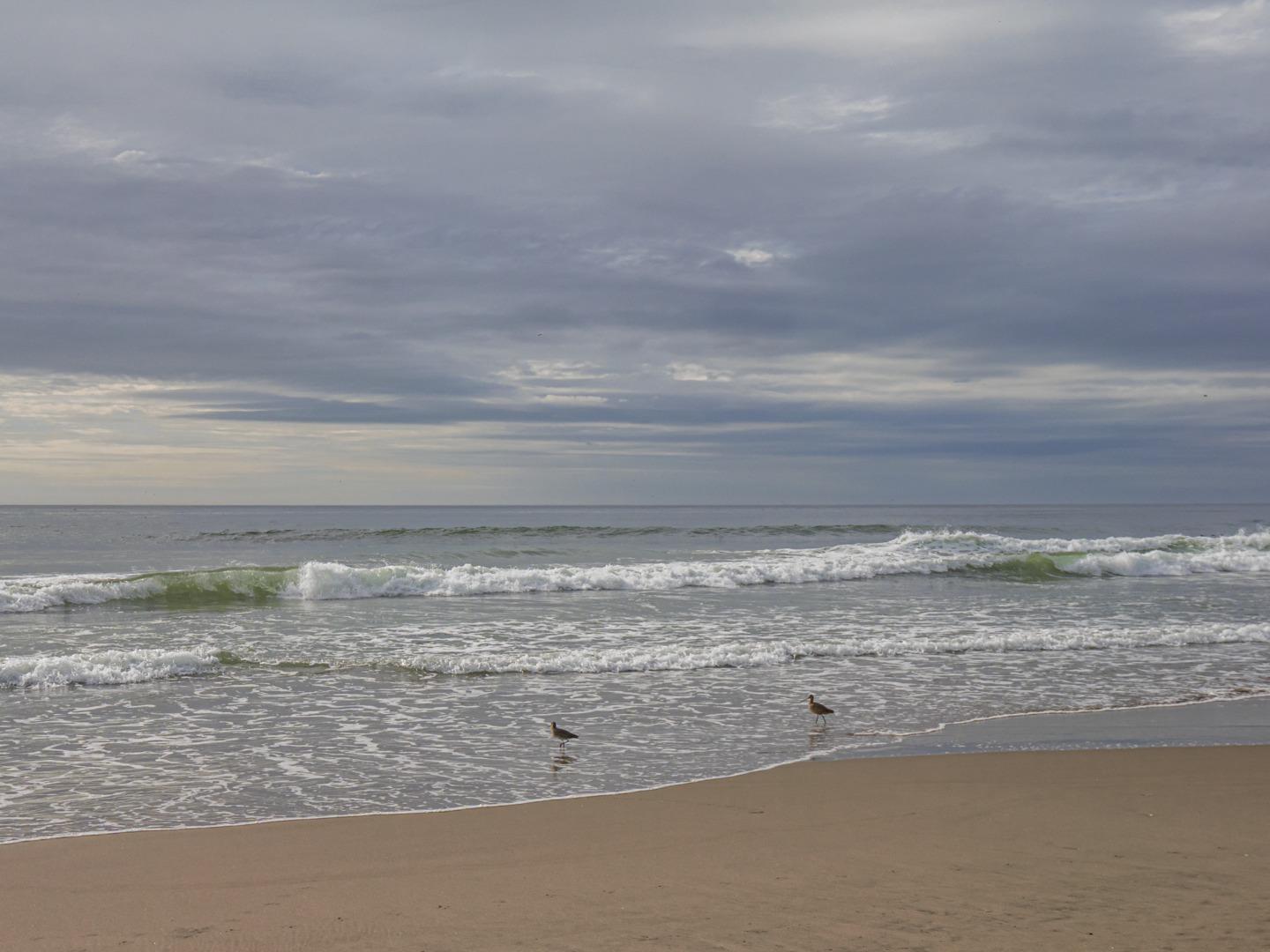 101 Shell Road, Unit 45 La Selva Beach, CA 95076 - Photo 52 of 56