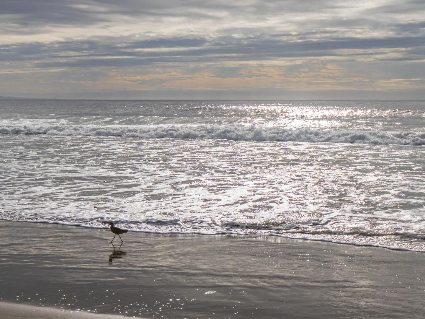 101 Shell Road, Unit 45 La Selva Beach, CA 95076 - Photo 53 of 56