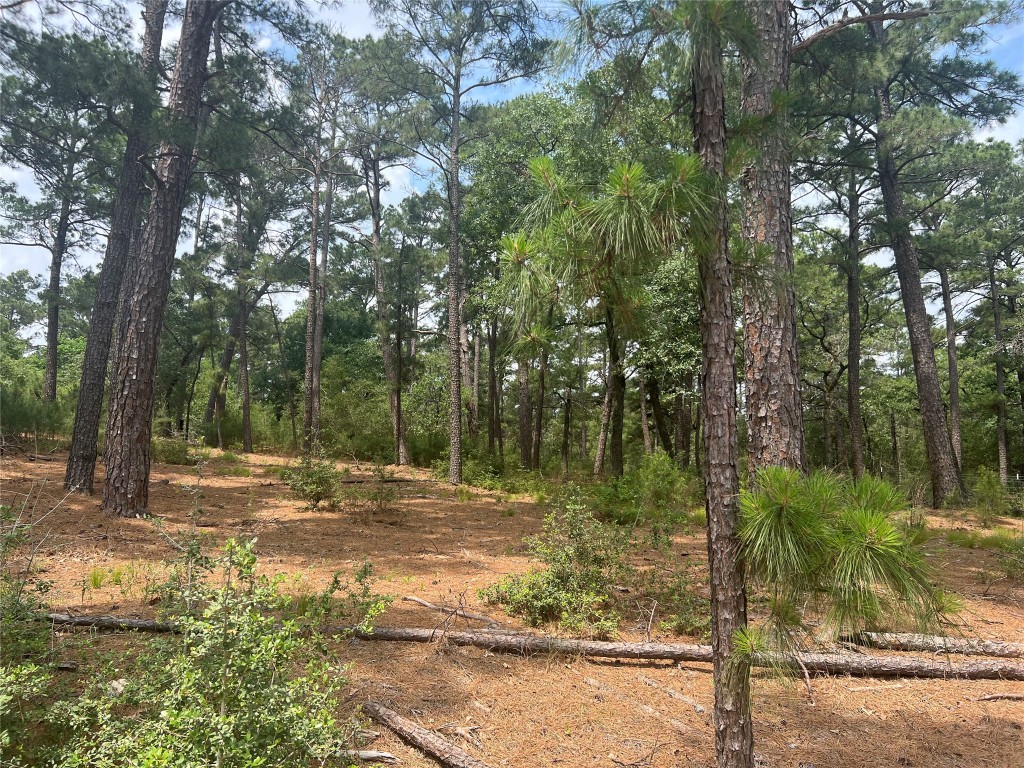 Lot 90 North Hill Ridge Drive Bastrop, TX 78602 - Photo 1 of 1 a view of backyard with green space