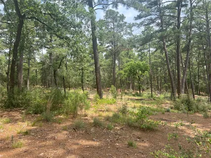 a big yard with lots of green space and trees