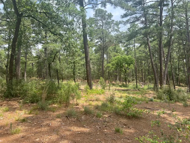a big yard with lots of green space and trees