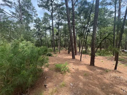 a view of backyard with trees