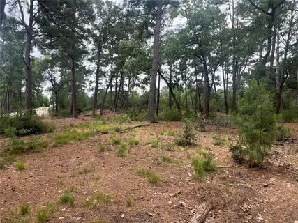 a view of outdoor space with trees