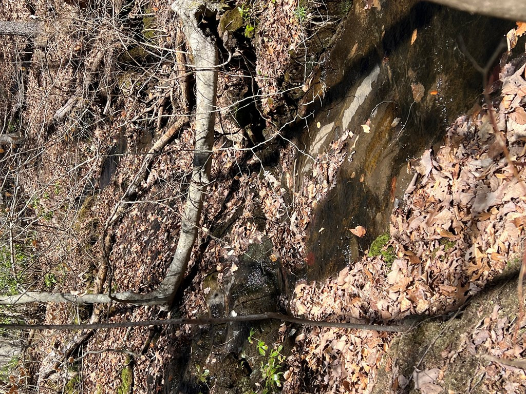 Lots Wolf Mountain Road Murphy, NC 28906 - Photo 25 of 27