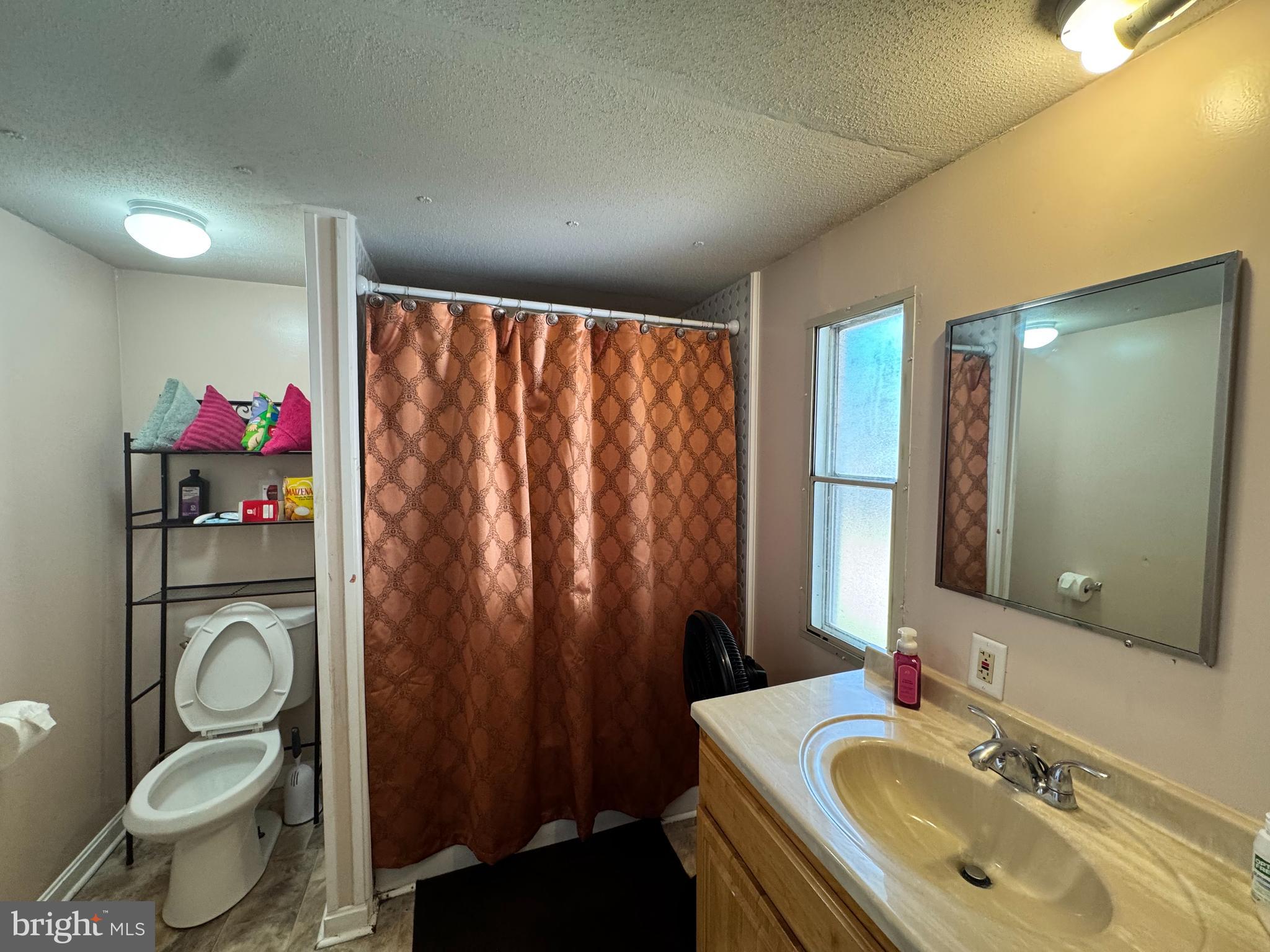 229 Sand Castle Boulevard Fruitland, MD 21826 - Photo 18 of 27 a bathroom with a sink vanity mirror and toilet