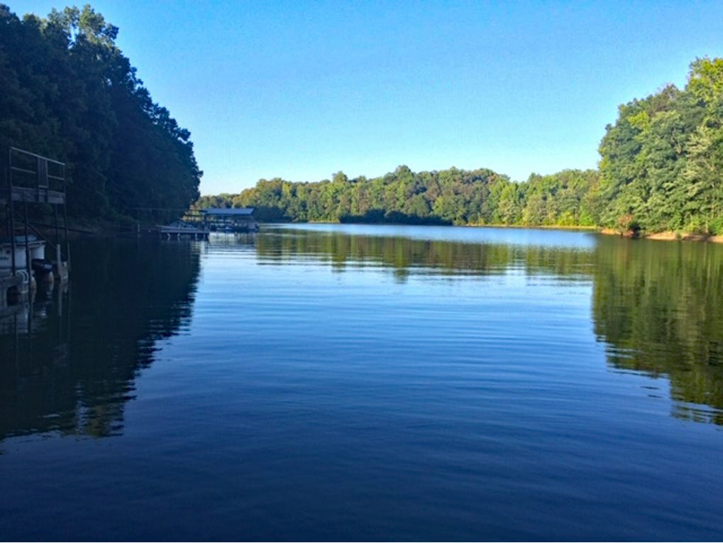 0 Franklin Co Boat Ramp Road Lavonia, GA 30553 - Photo 1 of 2 Gallery Image 1