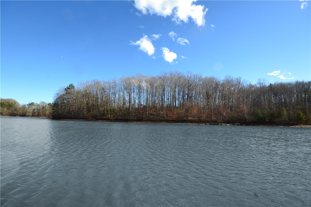 0 Franklin Co Boat Ramp Road Lavonia, GA 30553 - Photo 2 of 2 Gallery Image 2