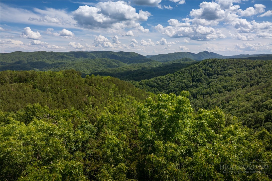 75 Lobelia Lane Boone, NC 28607 - Photo 12 of 50
