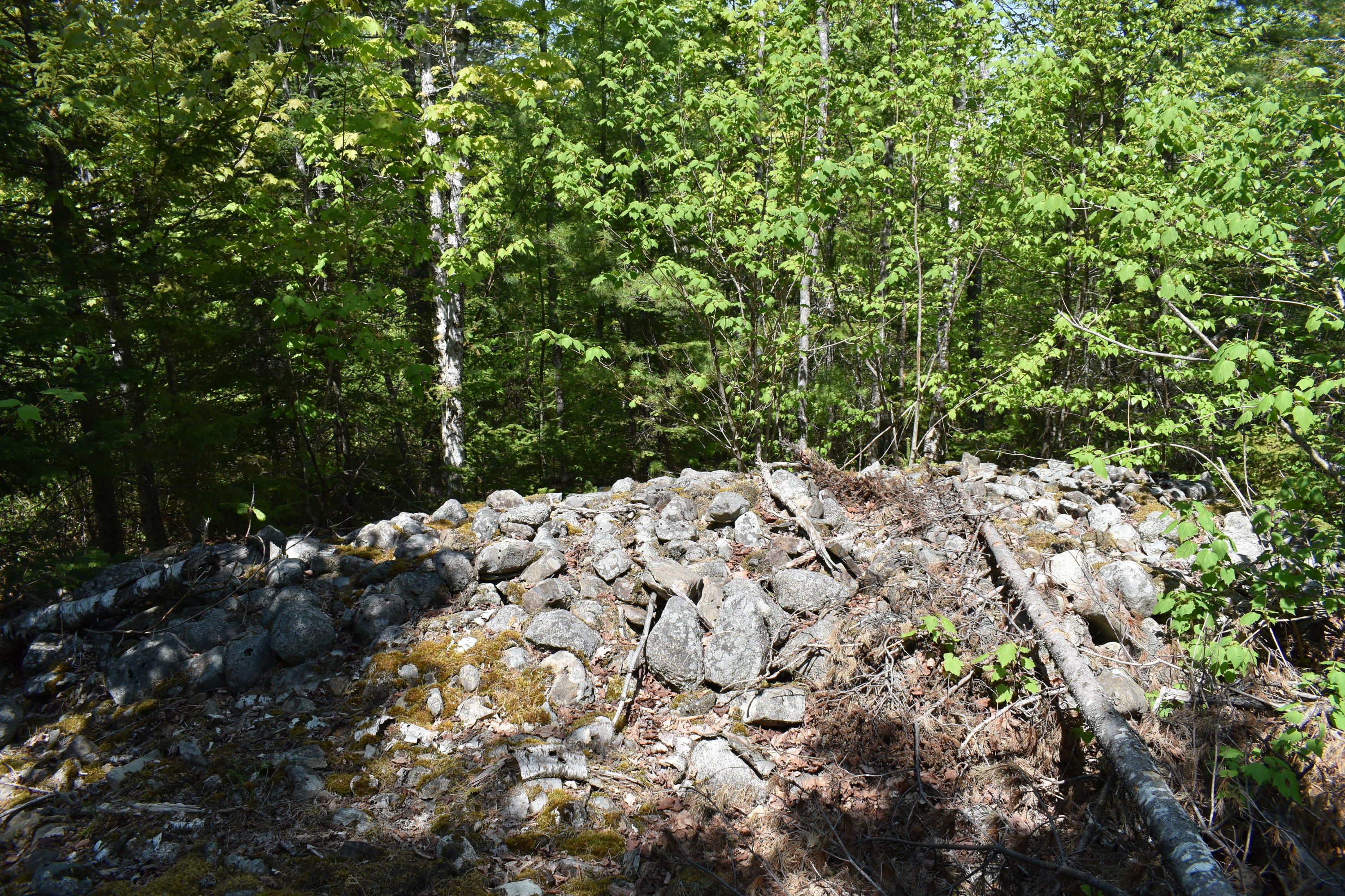 Lot 13 North Road Lee, ME 04455 - Photo 9 of 22 DSC_0056