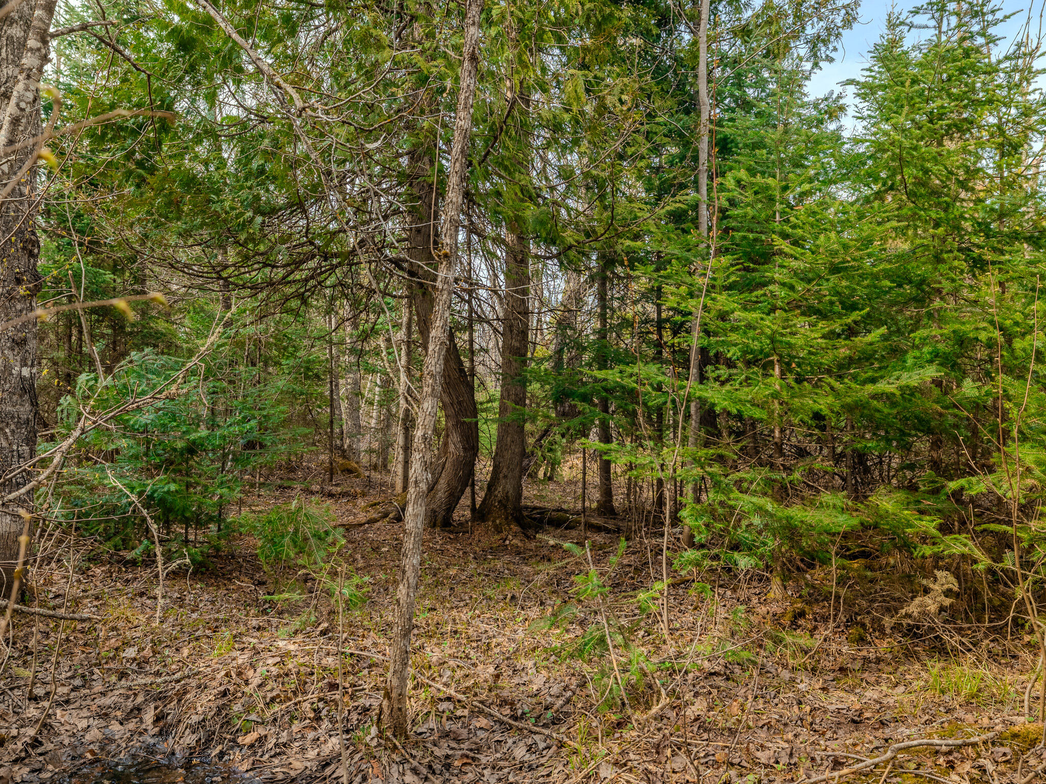 Lot 5 Horoscope Road Pelkie, MI 49958 - Photo 4 of 14 048A2162-HDR