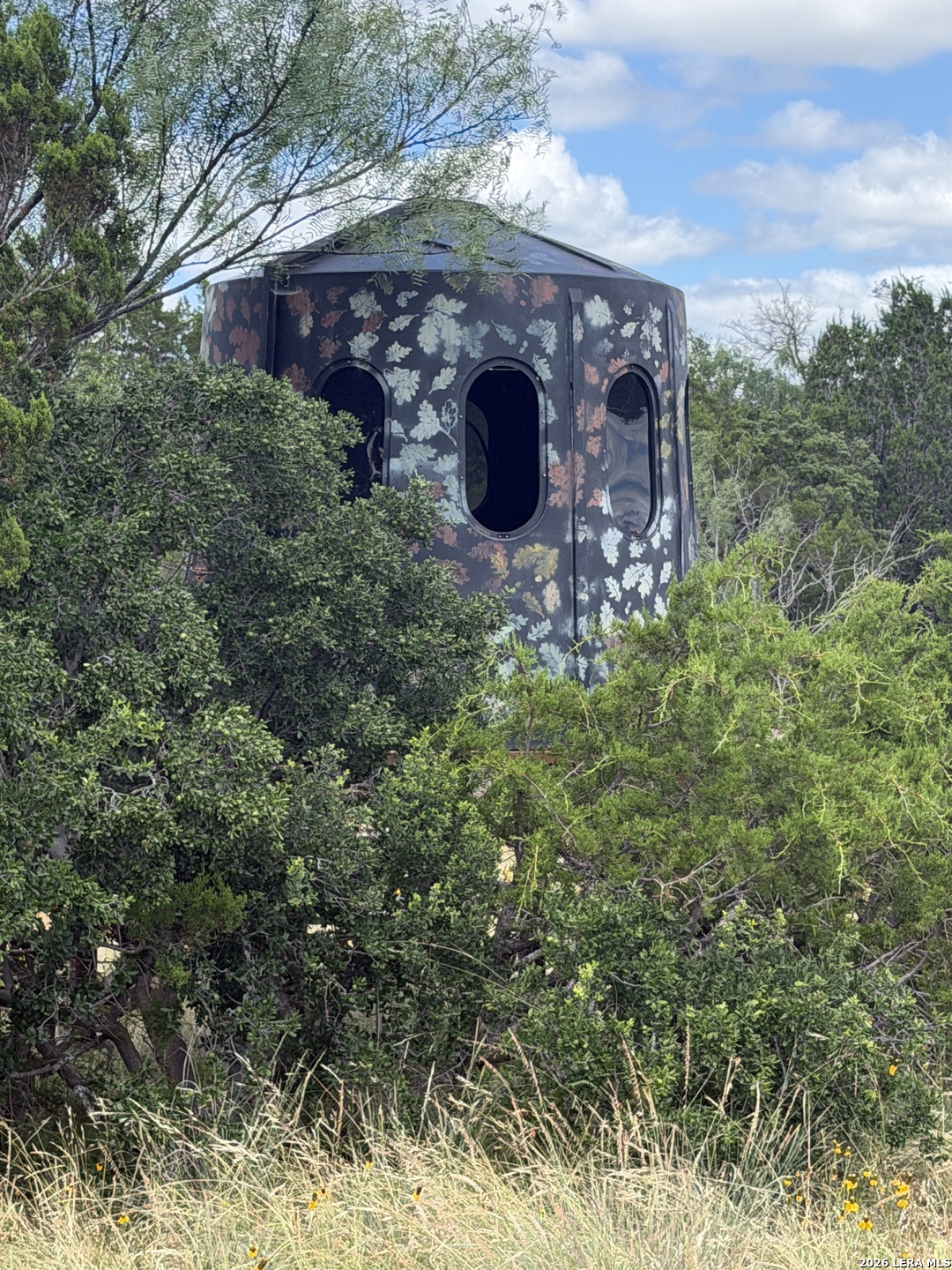 195 SD 45190 Rocksprings, TX 78880 - Photo 42 of 48