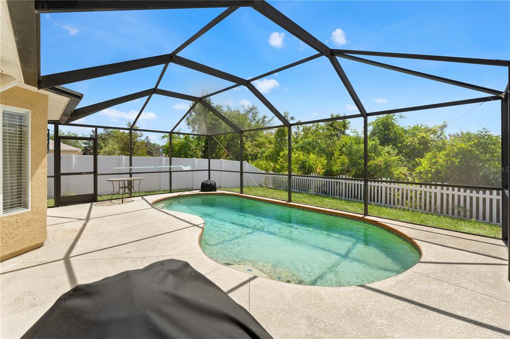 12310 Boot Spur Way Spring Hill, FL 34610 - Photo 18 of 36 a view of a backyard