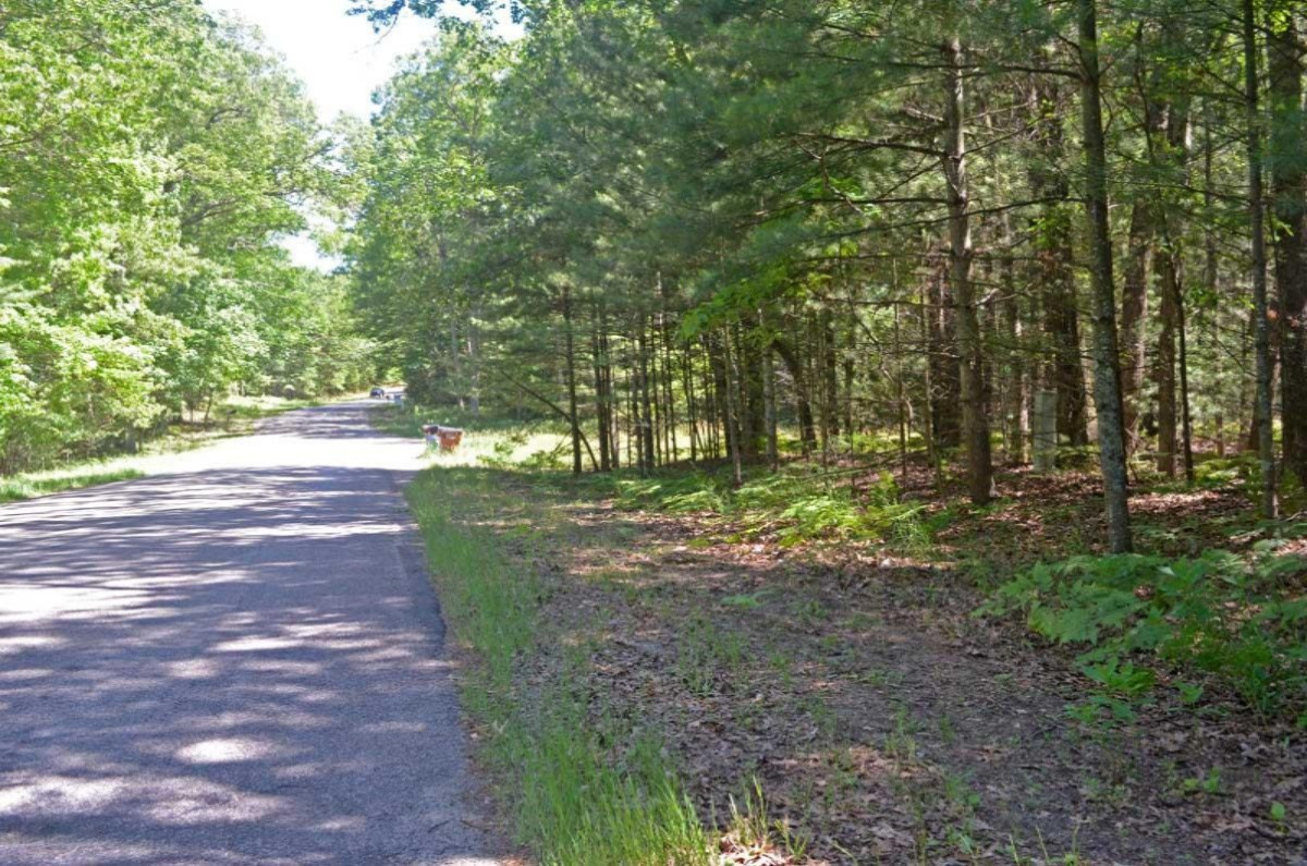 Lots Wayne Road Pentwater, MI 49449 - Photo 4 of 4 DSC_0484