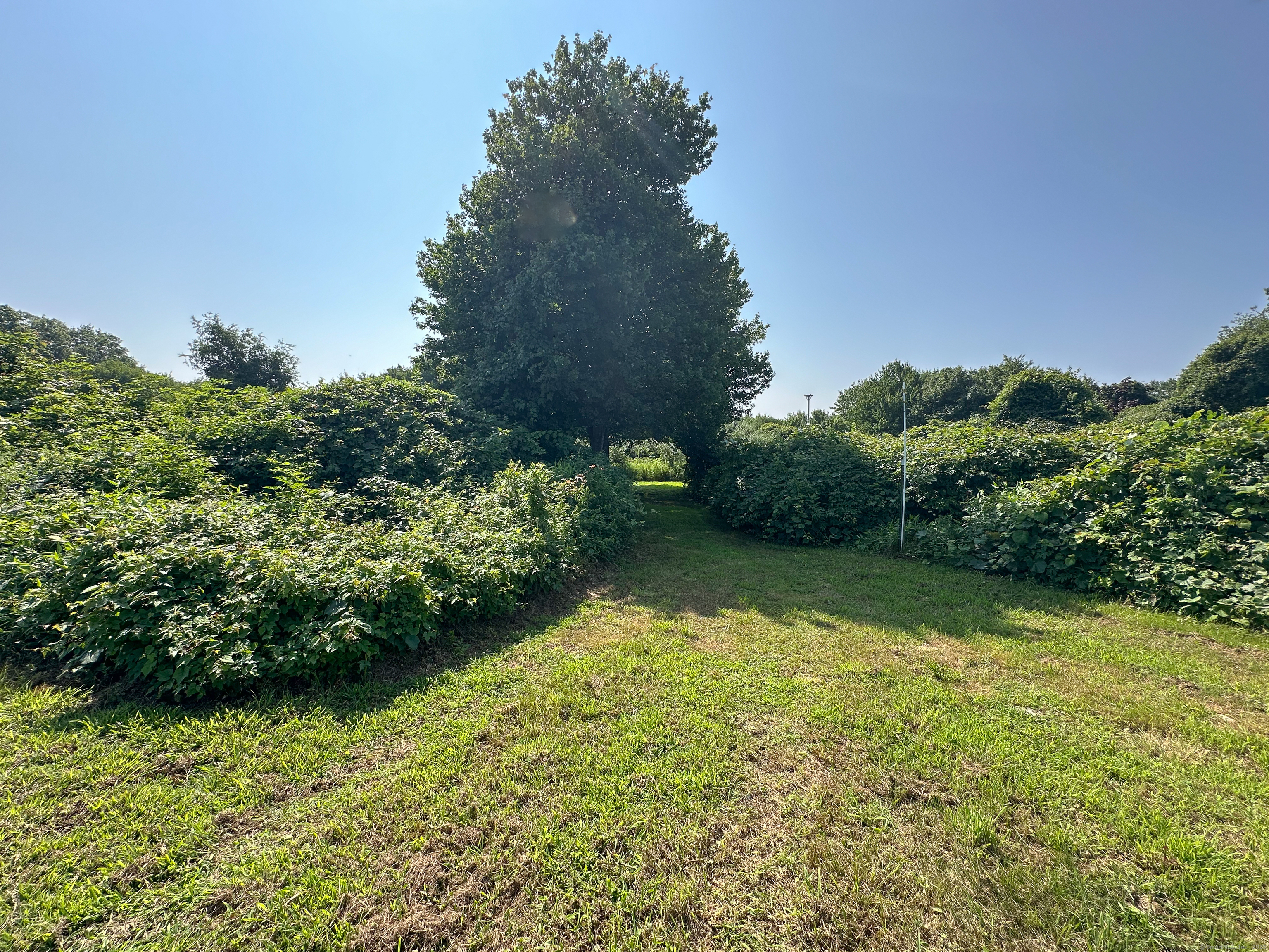 0 Smail Street Mystic, CT 06355 - Photo 6 of 8