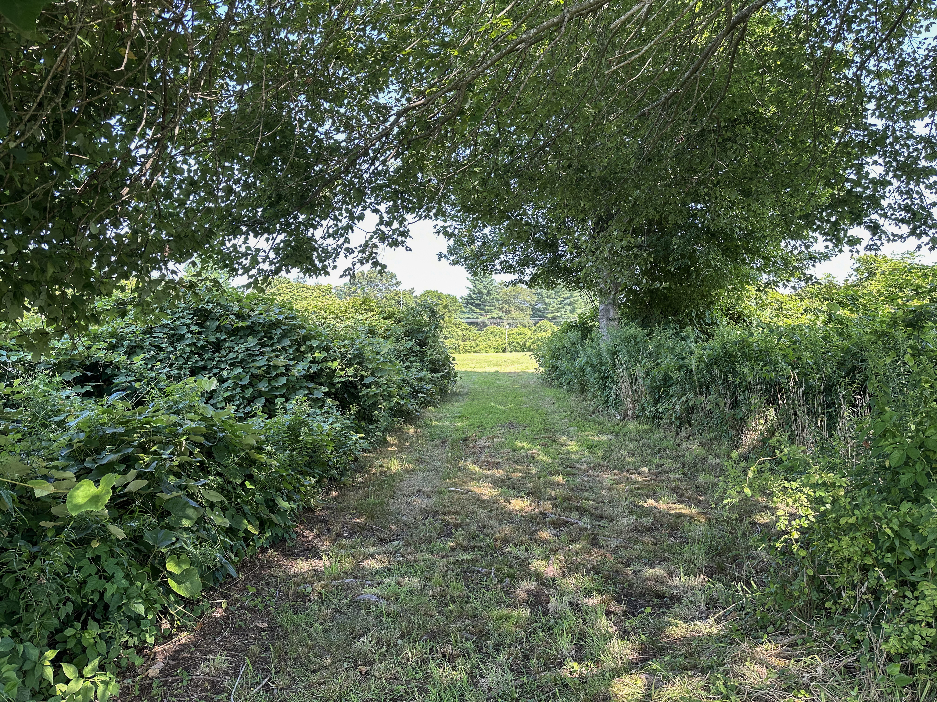 0 Smail Street Mystic, CT 06355 - Photo 7 of 8