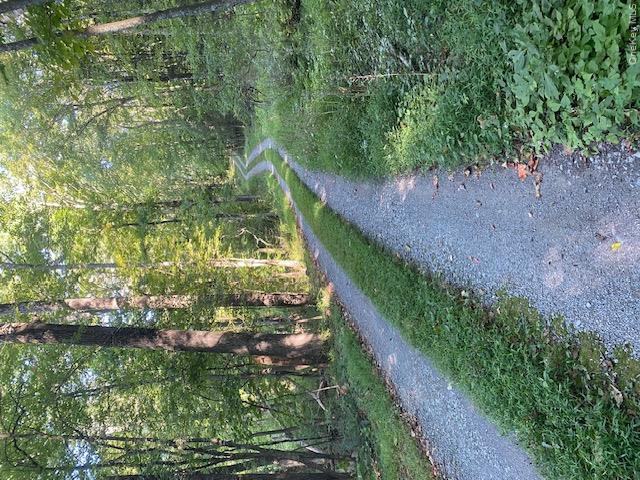Lily Lake Road Highland, NY 12528 - Photo 18 of 30 View of dirt / gravel road with a view of trees