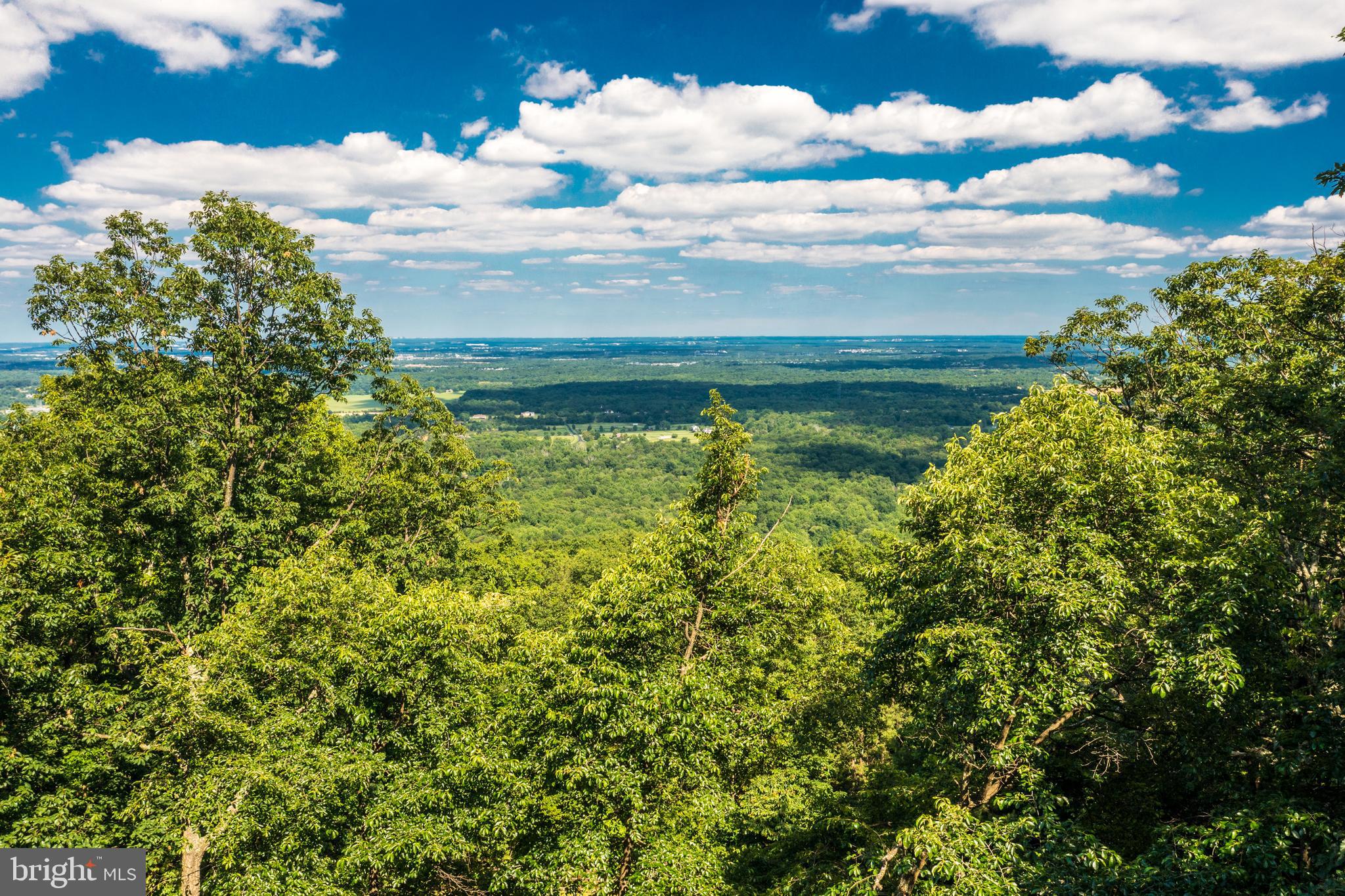 1619 Summit Drive Haymarket, VA 20169 - Photo 58 of 62 Beautiful surrounding area