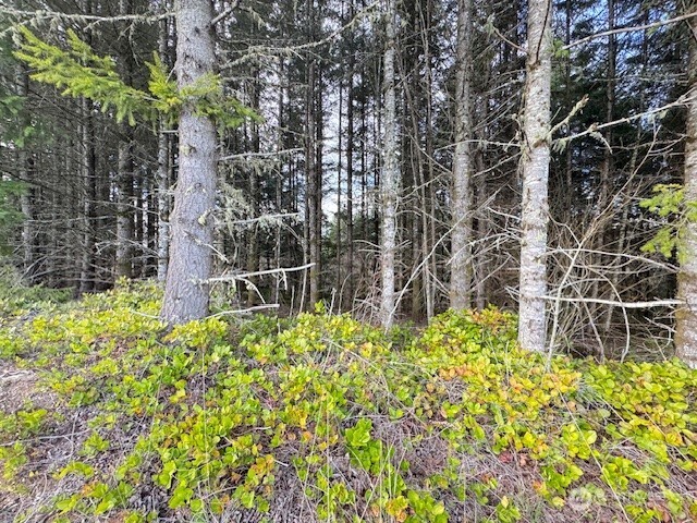 3-lot Brown Road East Chehalis, WA 98532 - Photo 11 of 11 a backyard of a house with lots of green space and plants