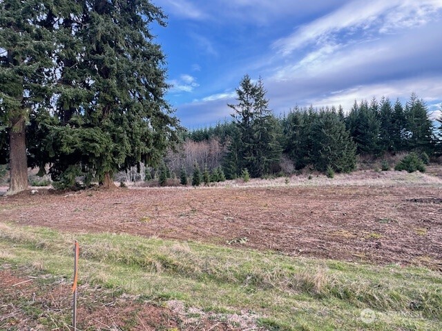 3-lot Brown Road East Chehalis, WA 98532 - Photo 4 of 11 a view of outdoor space and trees