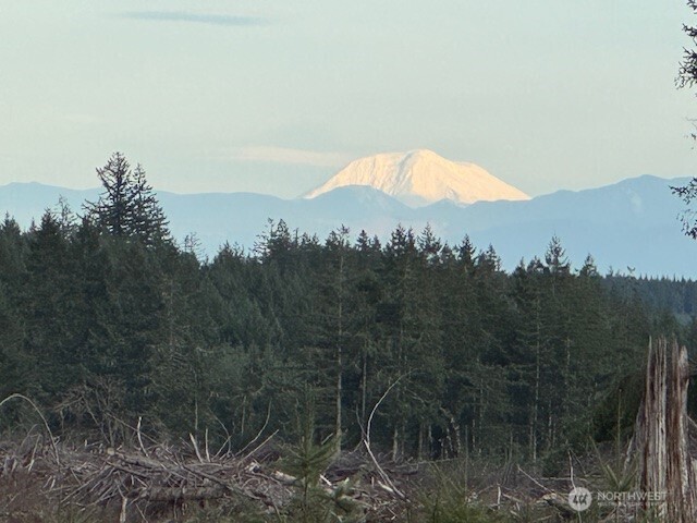 3-lot Brown Road East Chehalis, WA 98532 - Photo 5 of 11 a view of a city