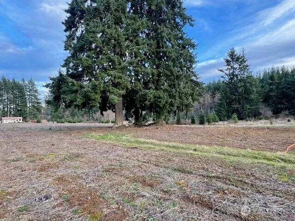 a view of dirt field with trees in the background