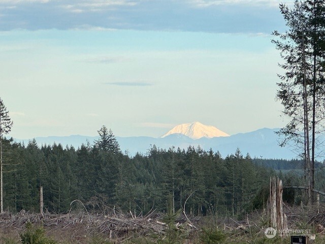 3-lot Brown Road East Chehalis, WA 98532 - Photo 8 of 11 a view of a yard and mountain in the background