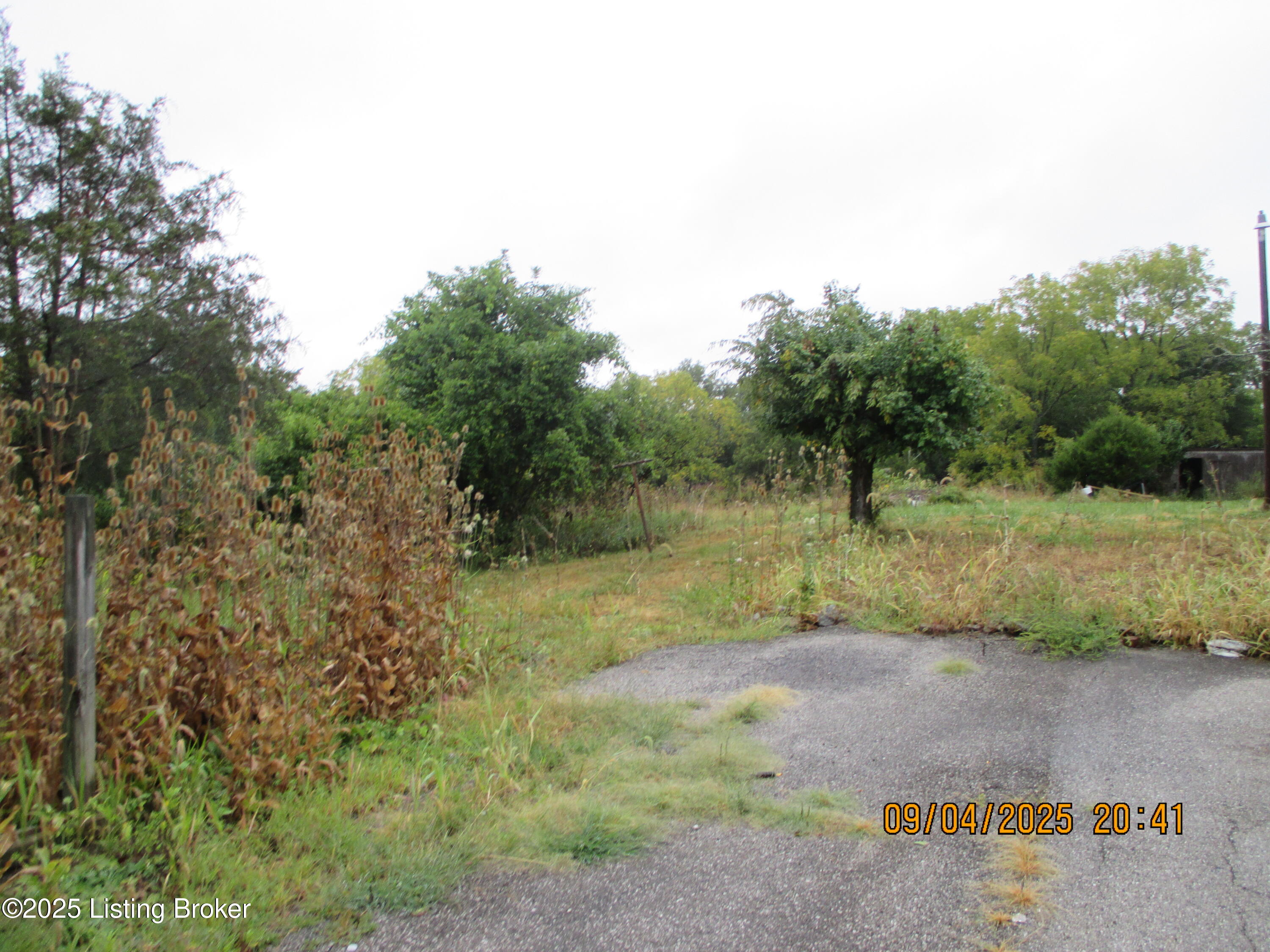 932 Bunk Road Pleasureville, KY 40057 - Photo 2 of 18 IMG_3347