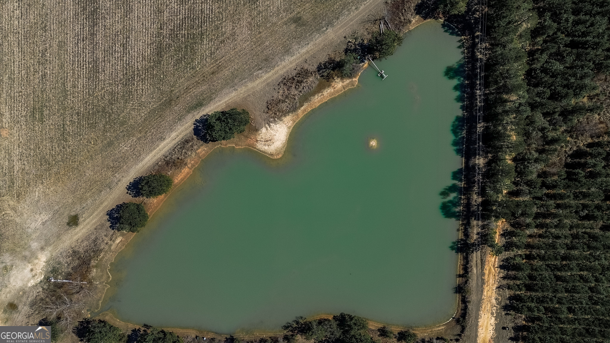 0 Kennedy Pond Road Dawson, GA 39842 - Photo 16 of 19 a view of a lake
