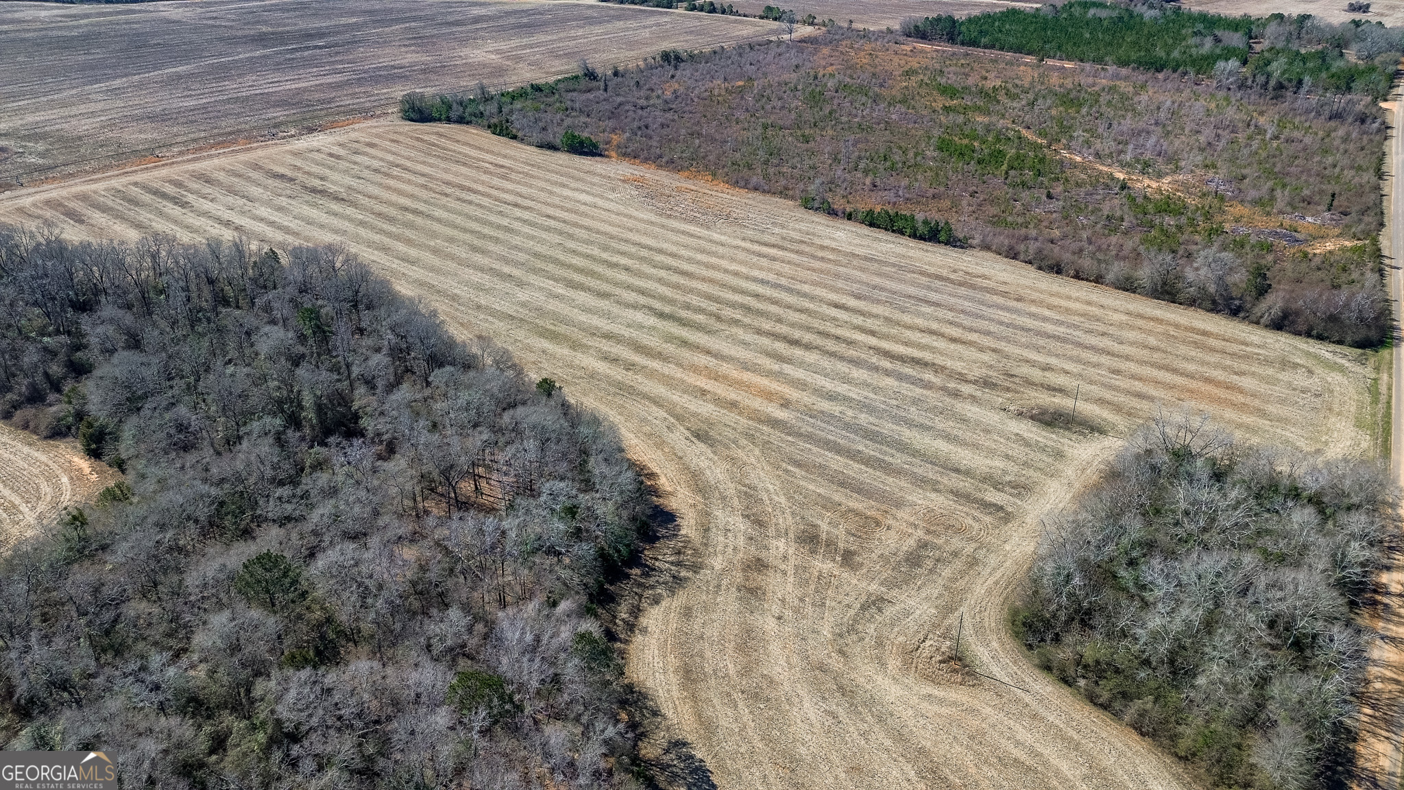 0 Kennedy Pond Road Dawson, GA 39842 - Photo 18 of 19 a view of a backyard of the house