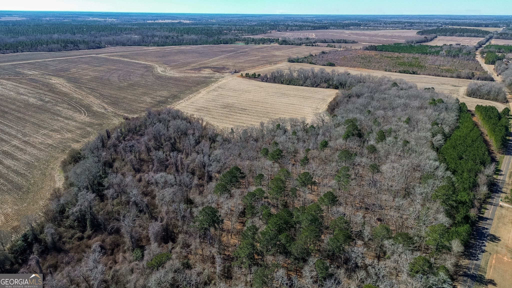 0 Kennedy Pond Road Dawson, GA 39842 - Photo 3 of 19 a view of a dry yard with wooden fence