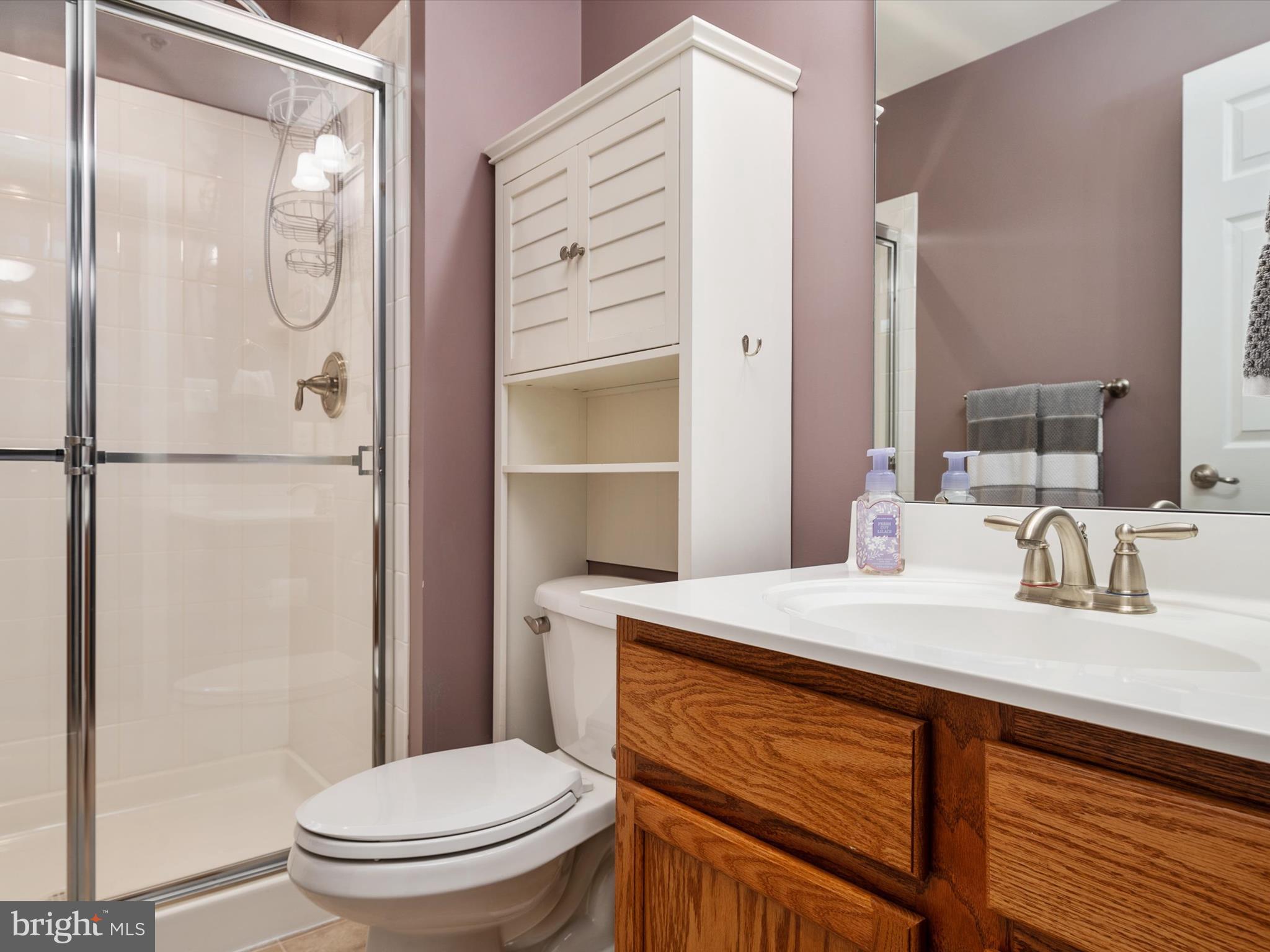 10518 Windlass Run Road Baltimore, MD 21220 - Photo 50 of 71 a bathroom with a sink a toilet and shower