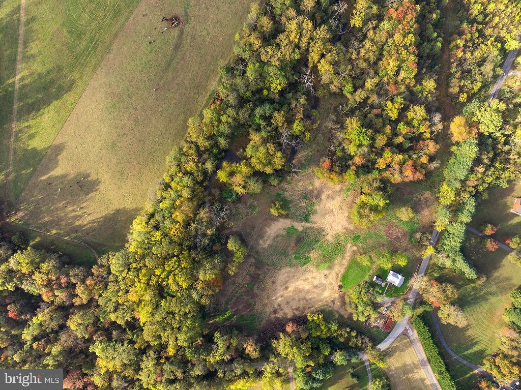 2860 Mayberry Road Taneytown, MD 21787 - Photo 27 of 31 a picture of tree