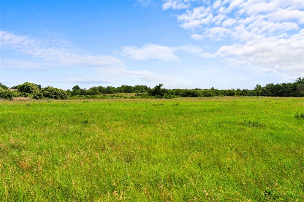 2874 Old Boone Prairie Road Franklin, TX 77856 - Photo 1 of 13 a view of a big yard with plants and large tree
