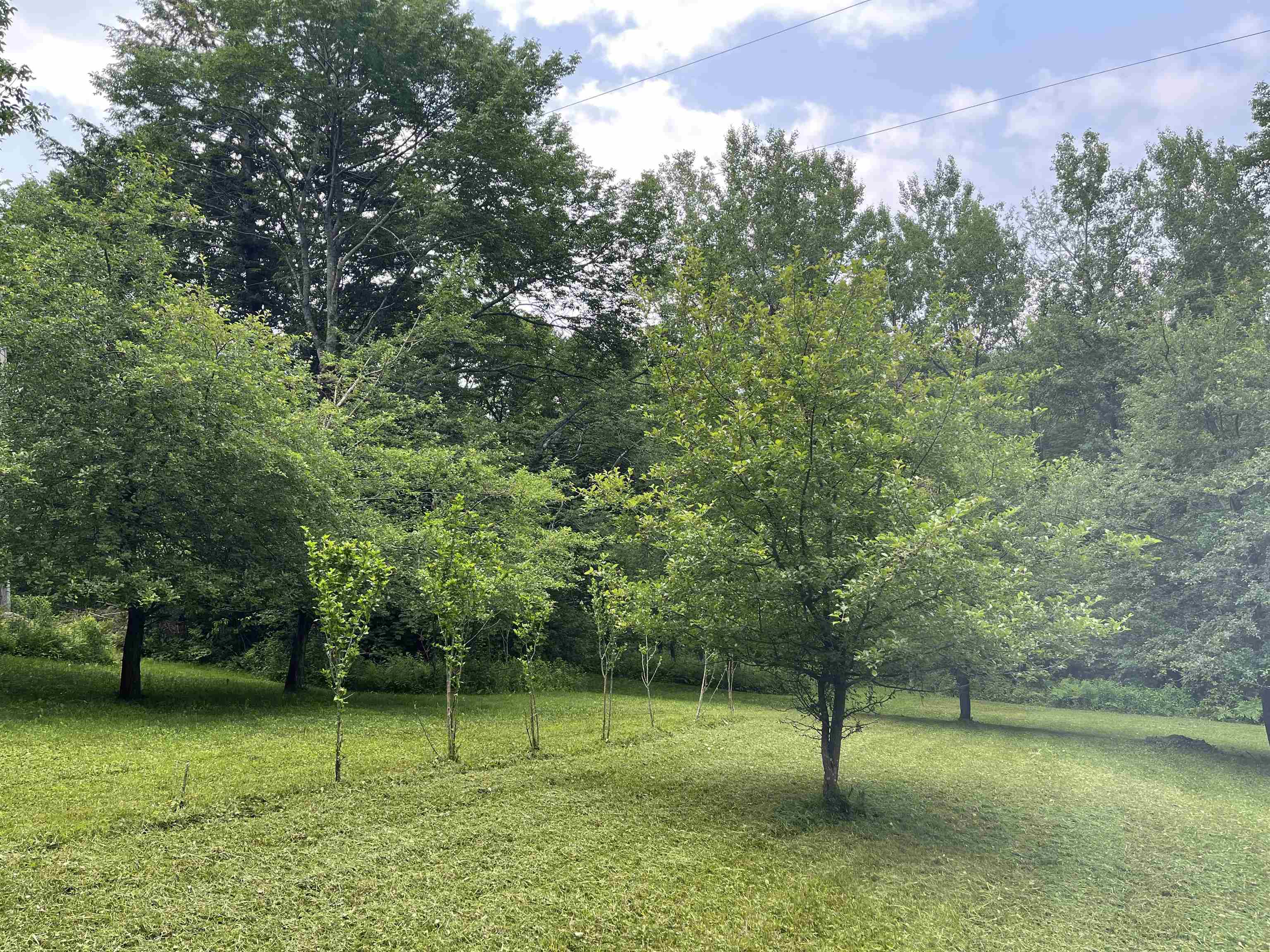 Lot 3 Bosley Hill Road Readsboro, VT 05350 - Photo 1 of 15