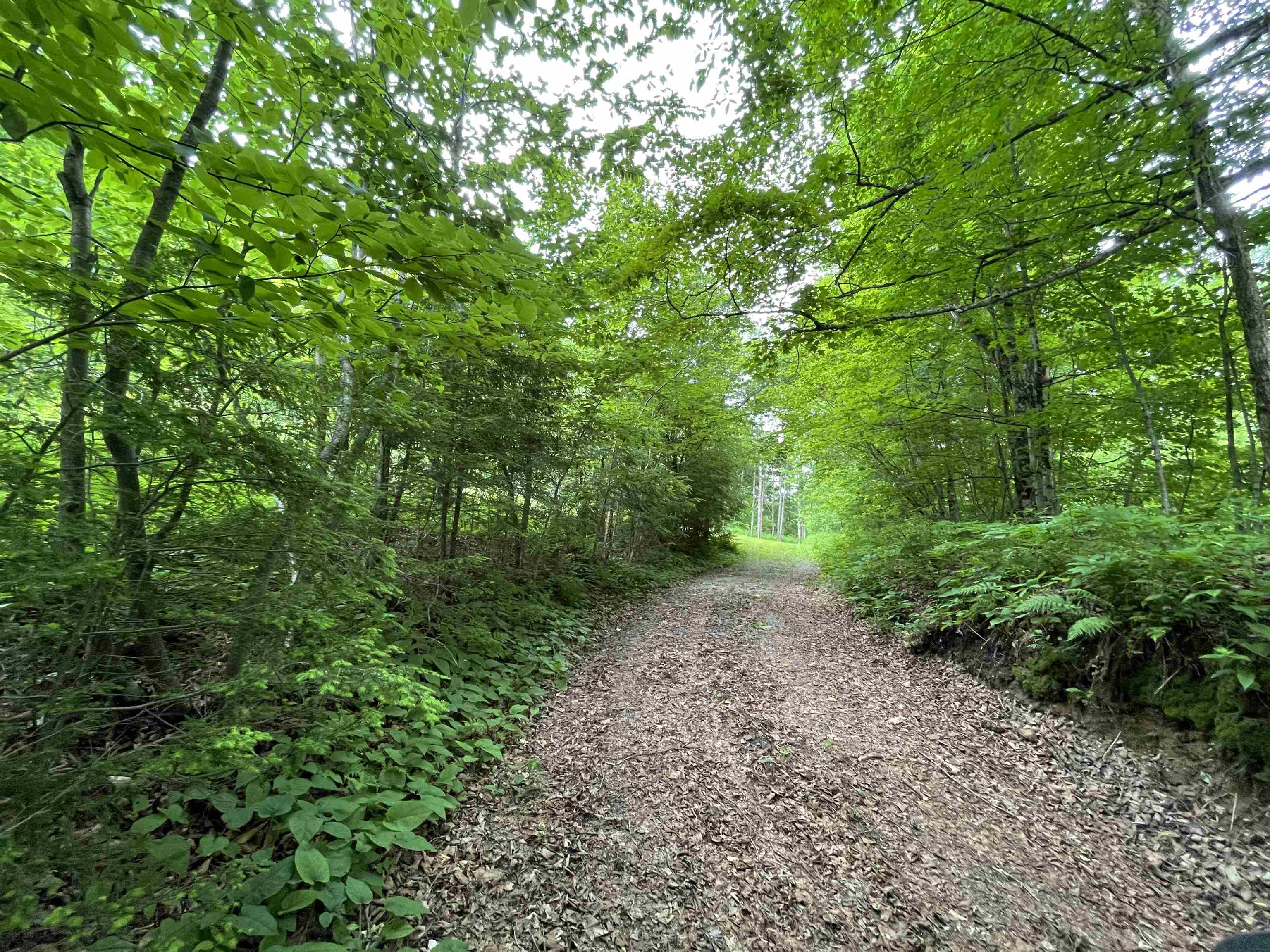 Lot 3 Bosley Hill Road Readsboro, VT 05350 - Photo 6 of 15
