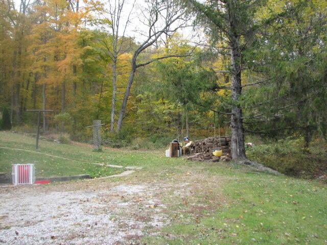 4165 Alten Road Sugar Grove, OH 43155 - Photo 14 of 78 IMG_4736