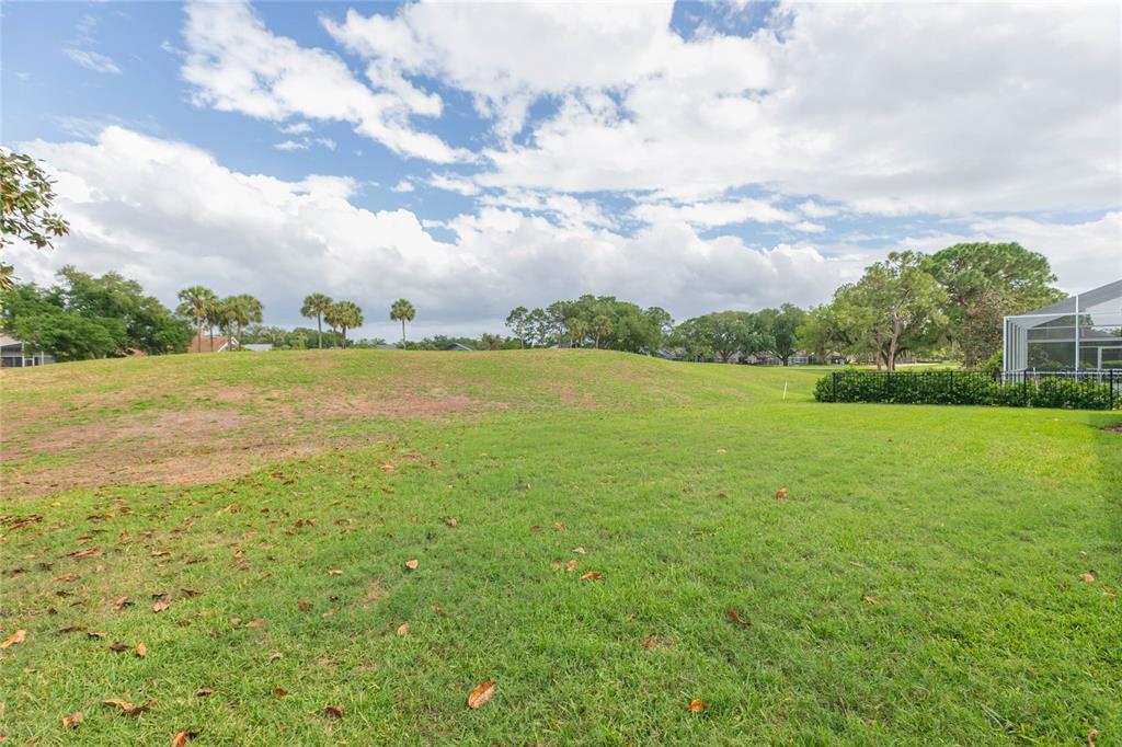 3516 Shadowood Drive Valrico, FL 33596 - Photo 40 of 56