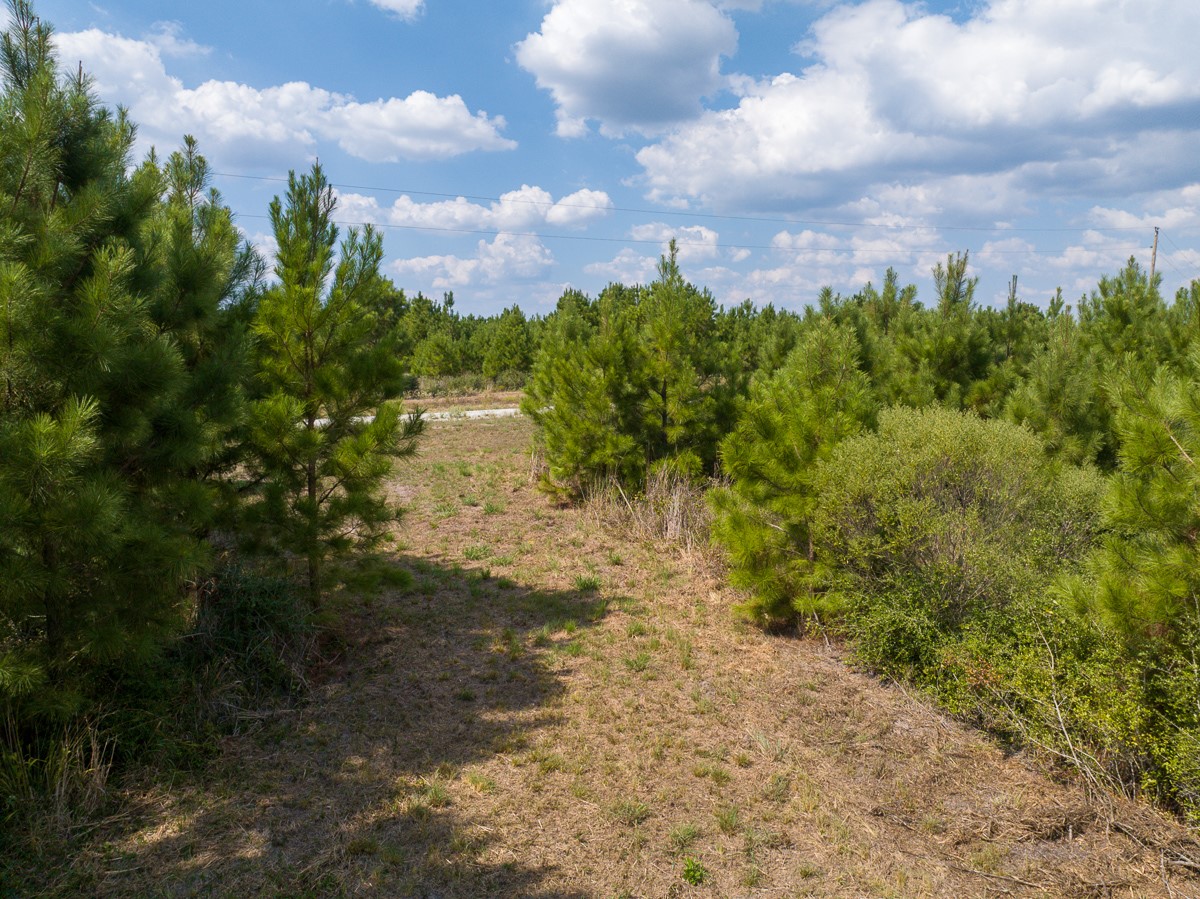 572 Robertson Road Lovelady, TX 75851 - Photo 13 of 16 a view of a lake with a building