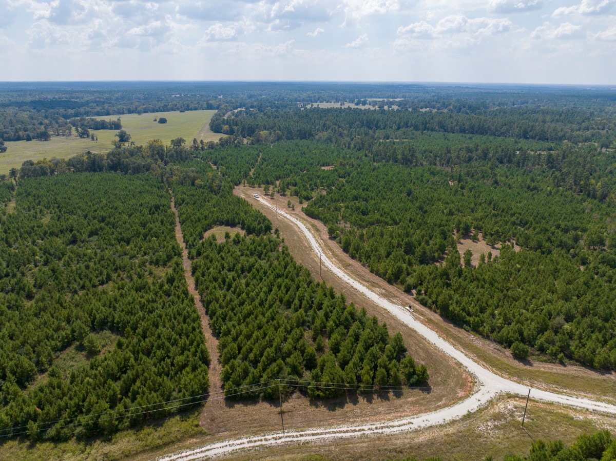 572 Robertson Road Lovelady, TX 75851 - Photo 2 of 16 a view of a green field with lots of trees in the background