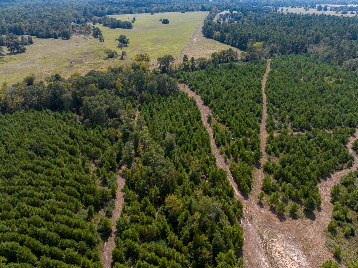 572 Robertson Road Lovelady, TX 75851 - Photo 3 of 16 a view of a lake view