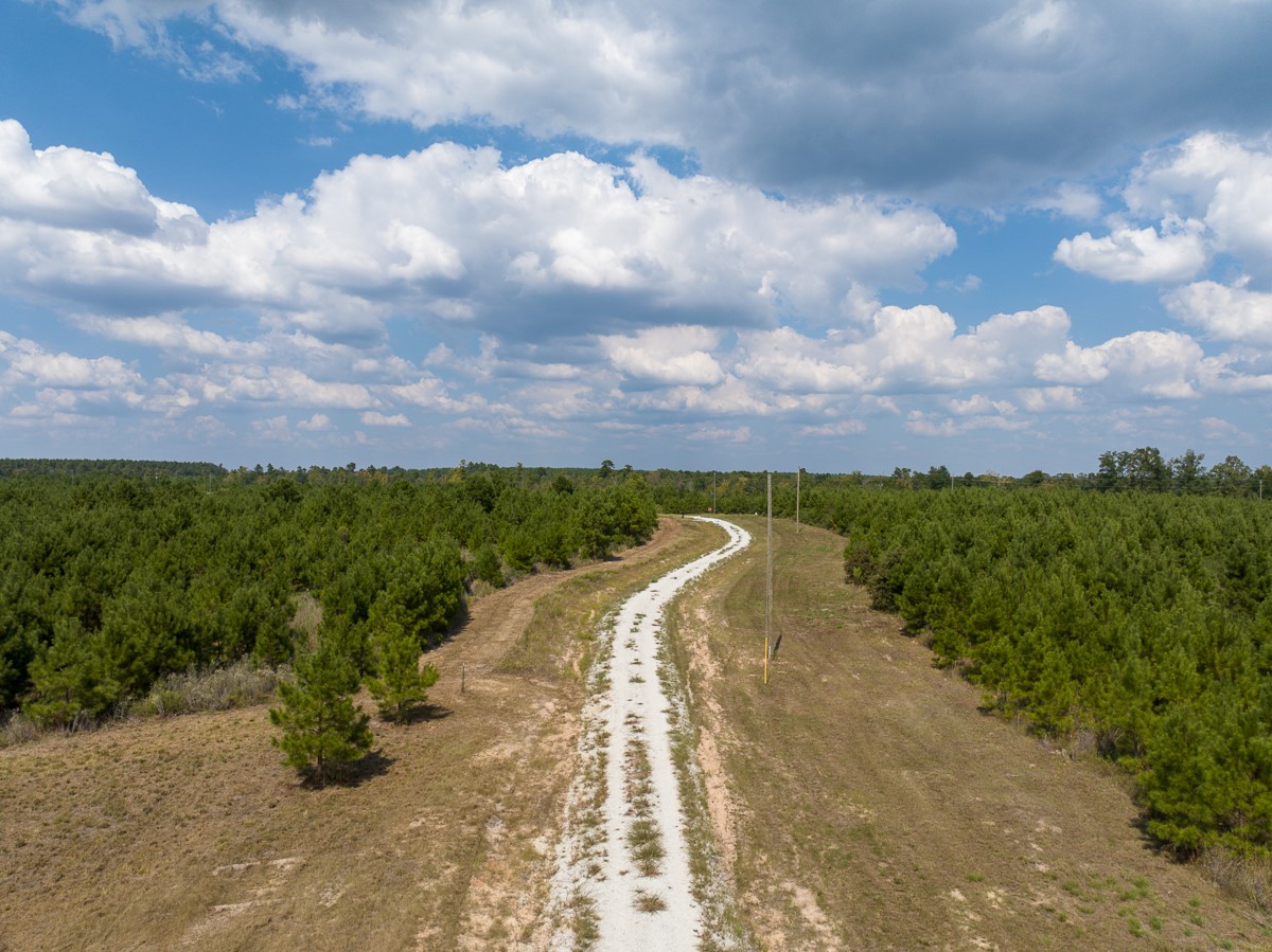 572 Robertson Road Lovelady, TX 75851 - Photo 5 of 16 a view of a lake with a yard