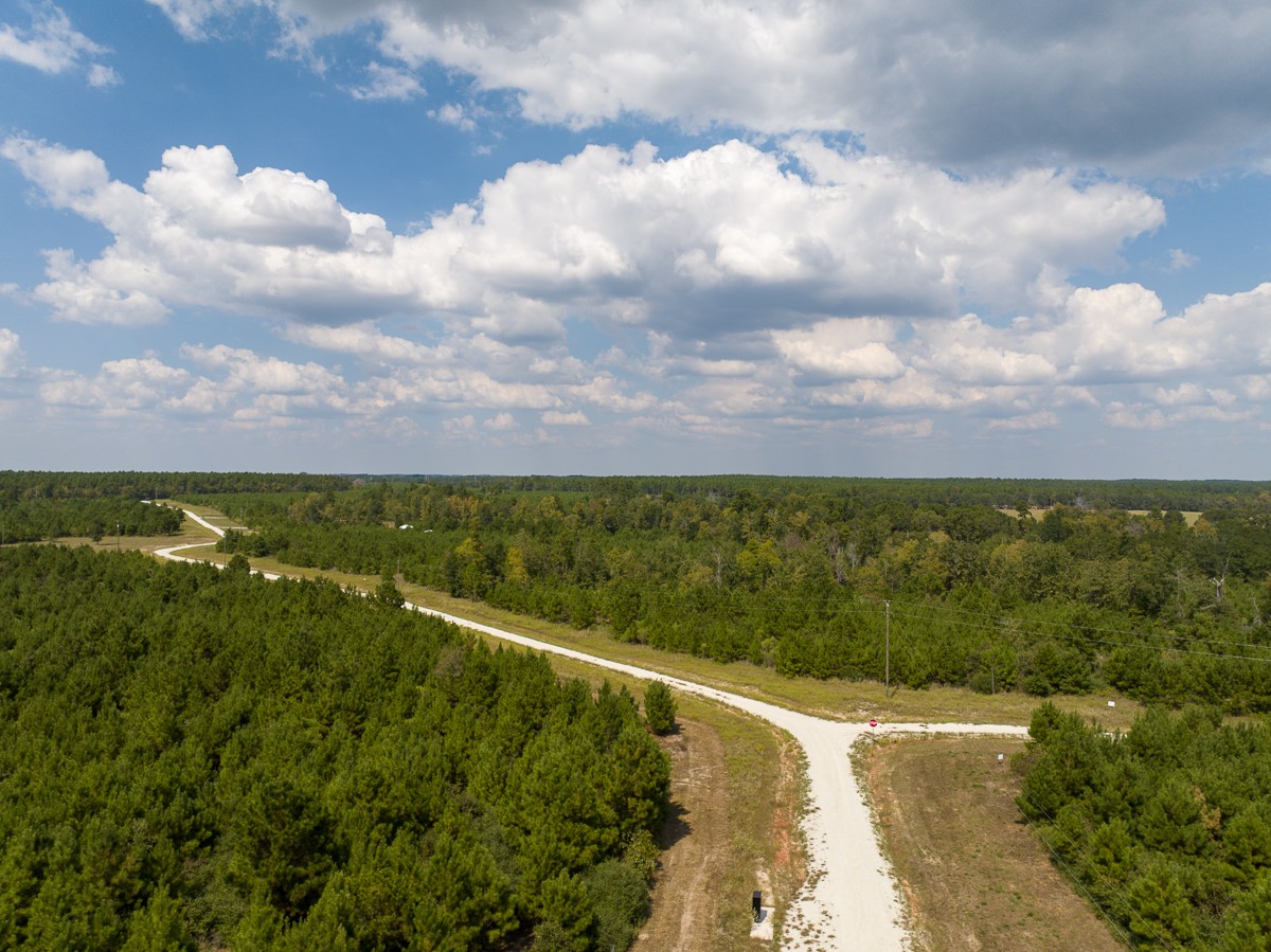 572 Robertson Road Lovelady, TX 75851 - Photo 6 of 16 a view of a city