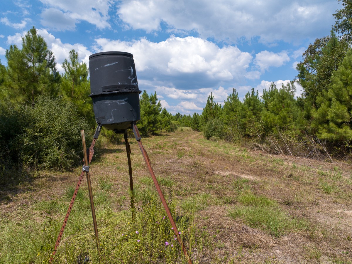 572 Robertson Road Lovelady, TX 75851 - Photo 7 of 16 a picture of a yard