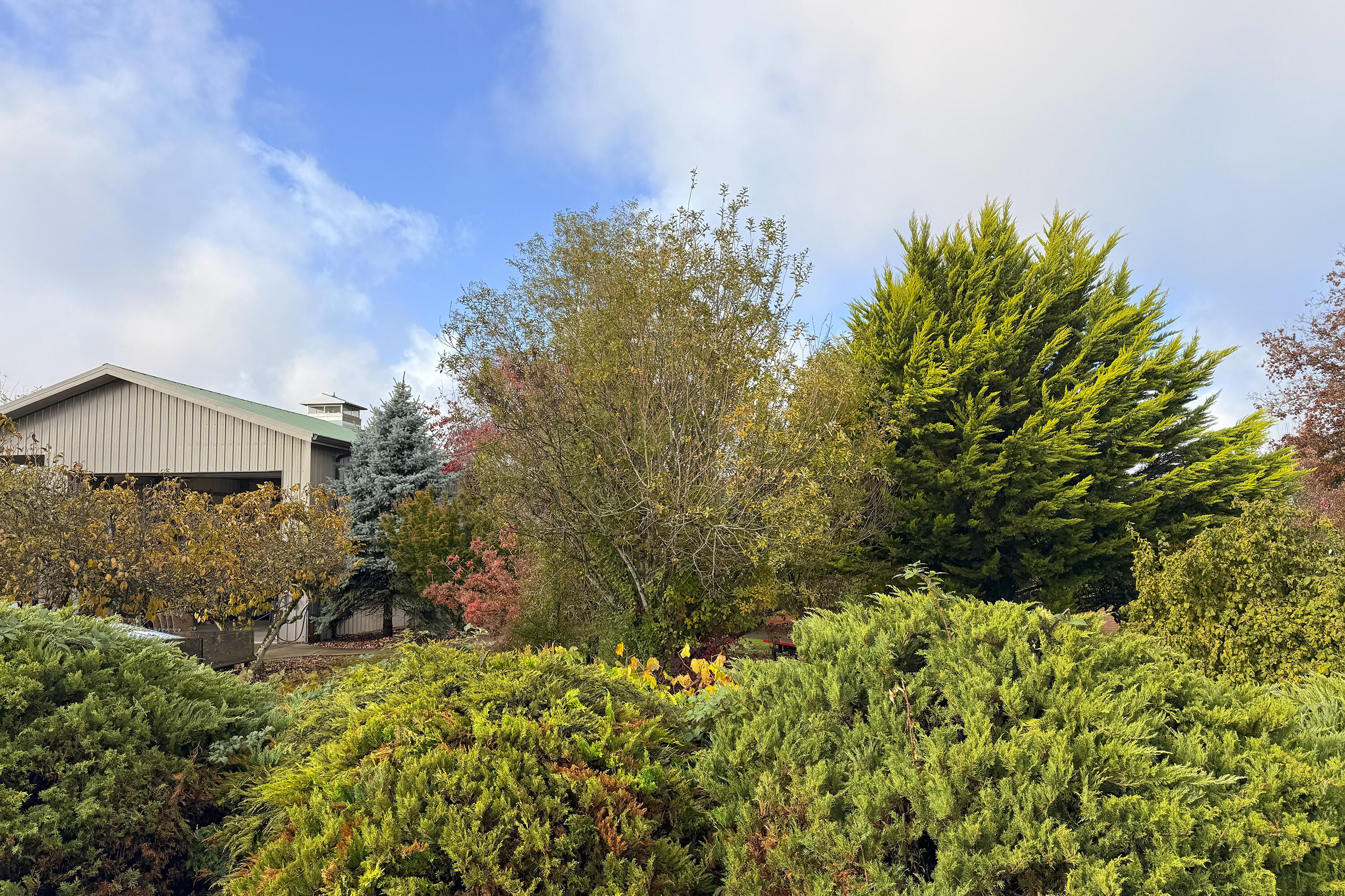 571 Northwest Wade Street Estacada, OR 97023 - Photo 10 of 45 14_Kathy Endicott 571 NW Wade St Estacad